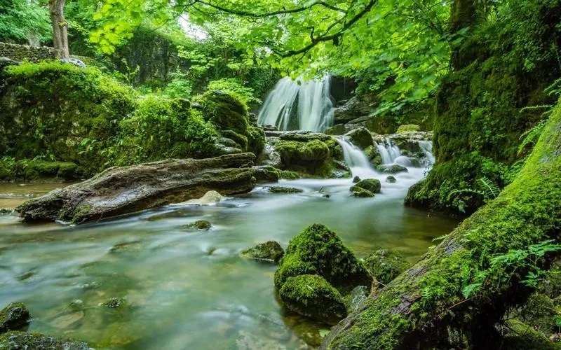 高效创意高质量